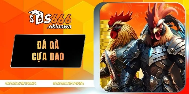 Đá gà cựa dao