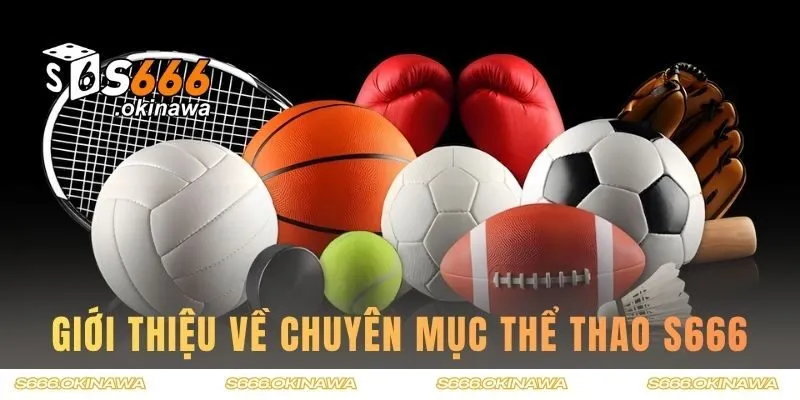 Giới thiệu về chuyên mục thể thao S666